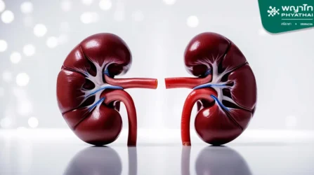 Chronic Kidney Disease