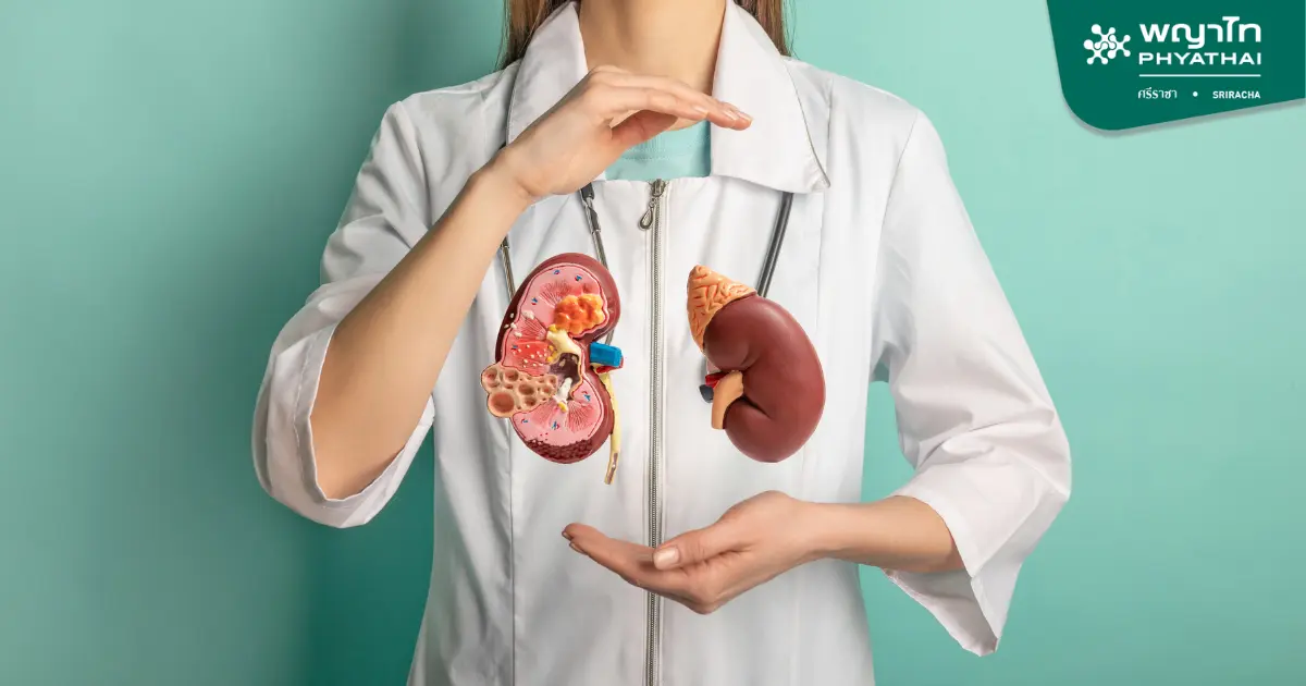 Arteriovenous Fistula (AV Fistula) for Chronic Kidney Disease Patients